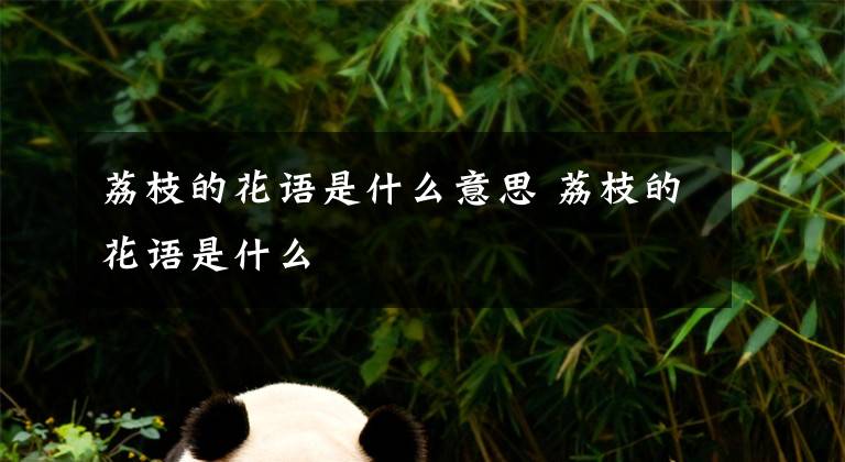 荔枝的花语是什么意思 荔枝的花语是什么文章配图