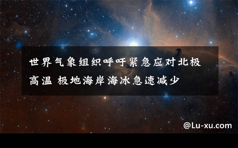 世界气象组织呼吁紧急应对北极高温 极地海岸海冰急速减少