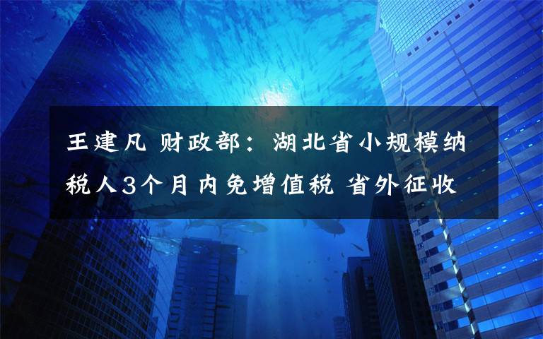 王建凡 财政部：湖北省小规模纳税人3个月内免增值税 省外征收率1％