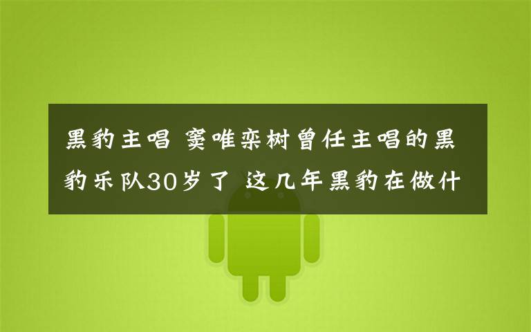 黑豹主唱 窦唯栾树曾任主唱的黑豹乐队30岁了 这几年黑豹在做什么？