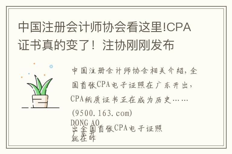 中国注册会计师协会看这里!CPA证书真的变了！注协刚刚发布