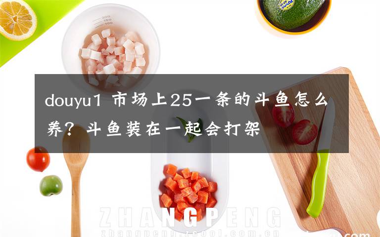 douyu1 市场上25一条的斗鱼怎么养？斗鱼装在一起会打架