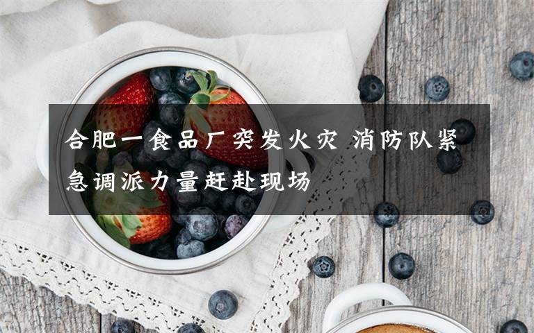 合肥一食品厂突发火灾 消防队紧急调派力量赶赴现场