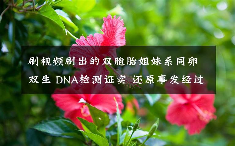 刷视频刷出的双胞胎姐妹系同卵双生 DNA检测证实 还原事发经过及背后真相！