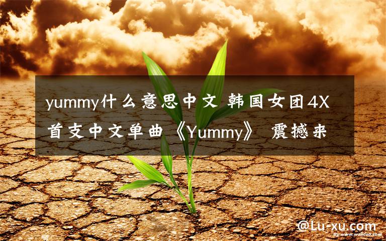 yummy什么意思中文 韩国女团4X首支中文单曲《Yummy》 震撼来袭