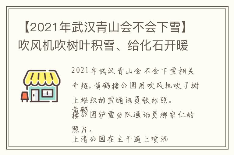 【2021年武汉青山会不会下雪】吹风机吹树叶积雪、给化石开暖气…… 武汉公园多种措施应对雪天