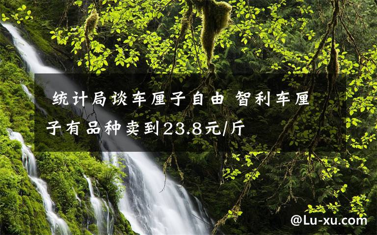  统计局谈车厘子自由 智利车厘子有品种卖到23.8元/斤