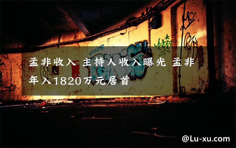 孟非收入 主持人收入曝光 孟非年入1820万元居首