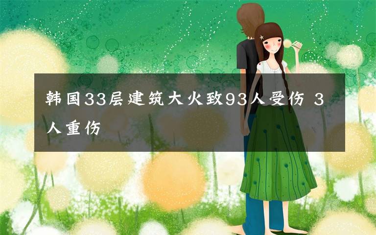 韩国33层建筑大火致93人受伤 3人重伤