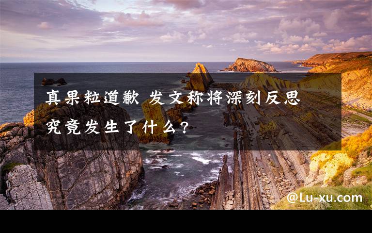 真果粒道歉 发文称将深刻反思 究竟发生了什么?