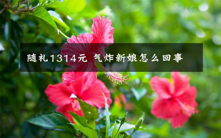 随礼1314元 气炸新娘怎么回事