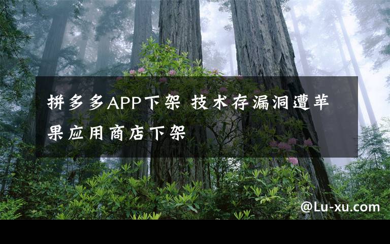 拼多多APP下架 技术存漏洞遭苹果应用商店下架