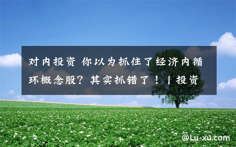 对内投资 你以为抓住了经济内循环概念股？其实抓错了！丨投资人说