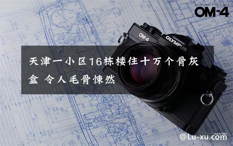 天津一小区16栋楼住十万个骨灰盒 令人毛骨悚然