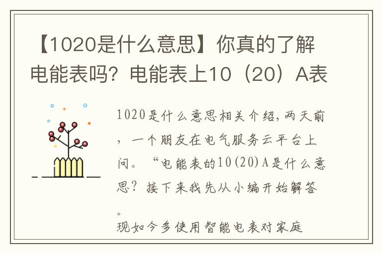 【1020是什么意思】你真的了解电能表吗？电能表上10（20）A表示什么意思？