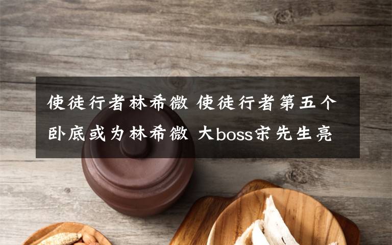 使徒行者林希微 使徒行者第五个卧底或为林希微 大boss宋先生亮相大结局