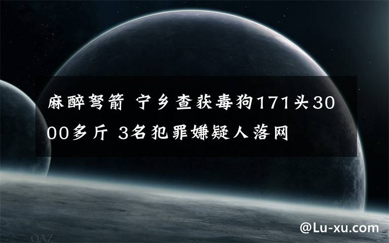 麻醉弩箭 宁乡查获毒狗171头3000多斤 3名犯罪嫌疑人落网