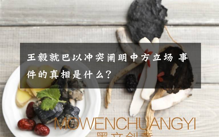 王毅就巴以冲突阐明中方立场 事件的真相是什么？