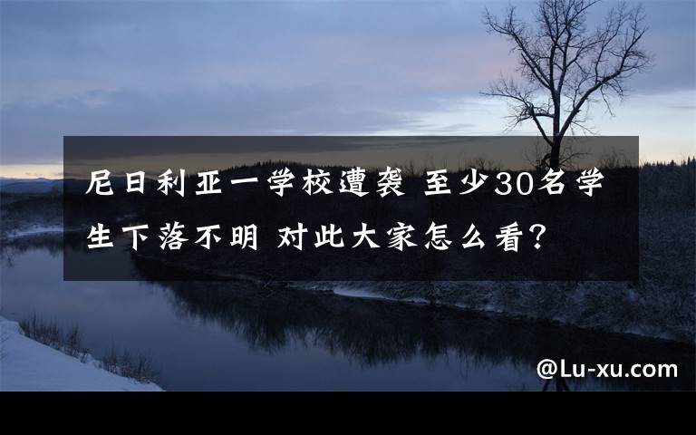 尼日利亚一学校遭袭 至少30名学生下落不明 对此大家怎么看？