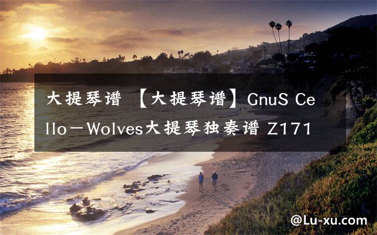 大提琴谱 【大提琴谱】GnuS Cello－Wolves大提琴独奏谱 Z17121803