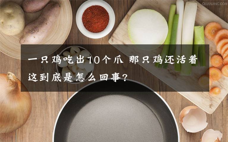 一只鸡吃出10个爪 那只鸡还活着这到底是怎么回事?