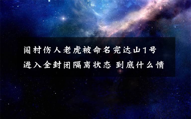 闯村伤人老虎被命名完达山1号 进入全封闭隔离状态 到底什么情况呢？