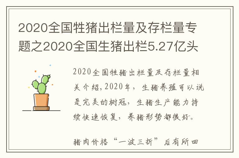 2020全国牲猪出栏量及存栏量专题之2020全国生猪出栏5.27亿头，13家猪企占比10.53%