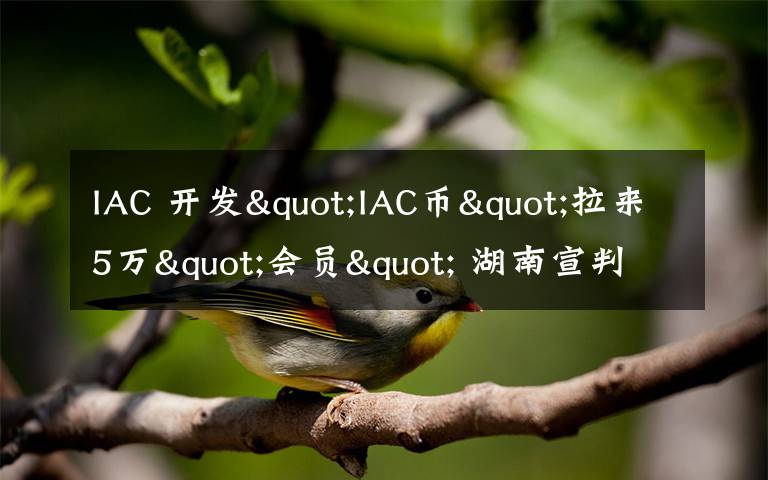 IAC 开发"IAC币"拉来5万"会员" 湖南宣判一起特大网络传销案