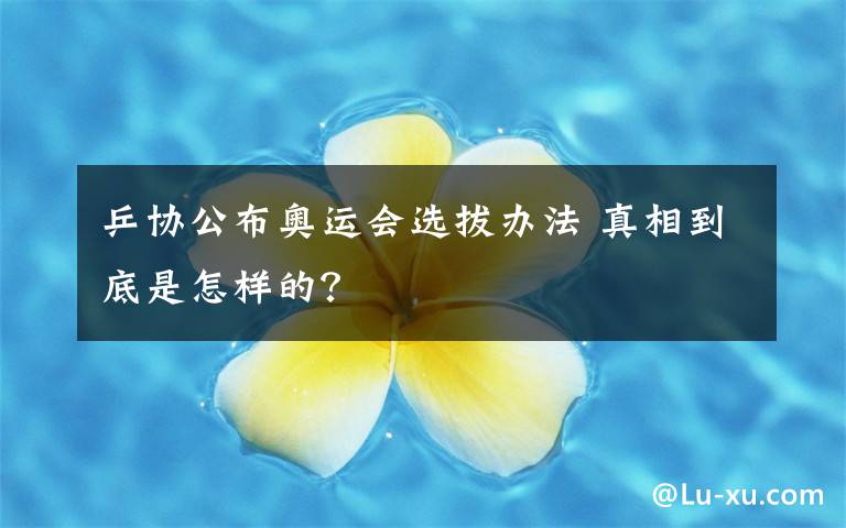 乒协公布奥运会选拔办法 真相到底是怎样的？