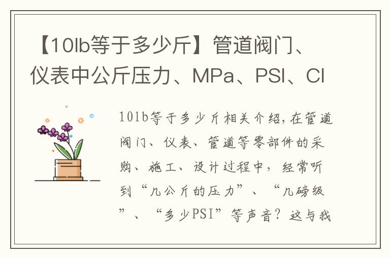 【10lb等于多少斤】管道阀门、仪表中公斤压力、MPa、PSI、Class转换关系