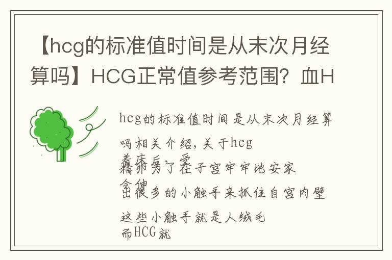 【hcg的标准值时间是从末次月经算吗】HCG正常值参考范围？血HCG与尿HCG有什么不同呢？