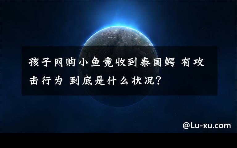 孩子网购小鱼竟收到泰国鳄 有攻击行为 到底是什么状况？