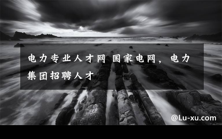 电力专业人才网 国家电网，电力集团招聘人才