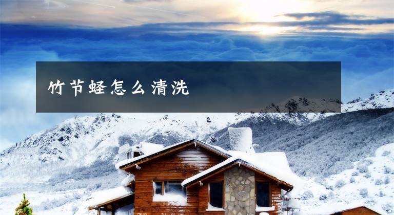 竹节蛏怎么清洗文章配图