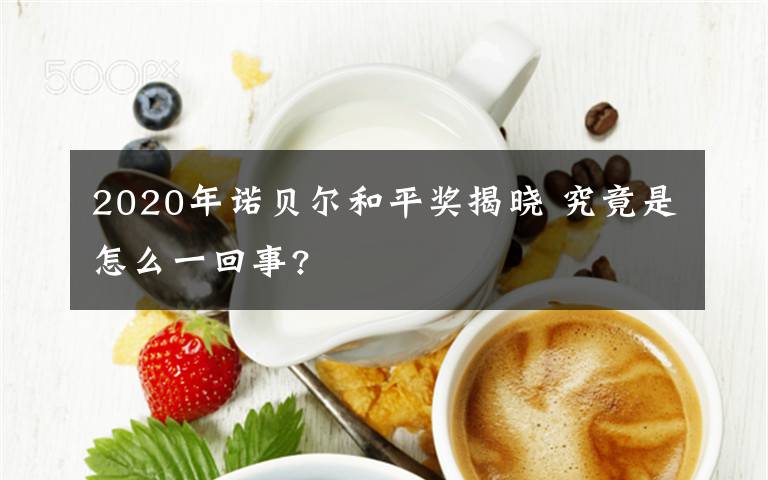 2020年诺贝尔和平奖揭晓 究竟是怎么一回事?