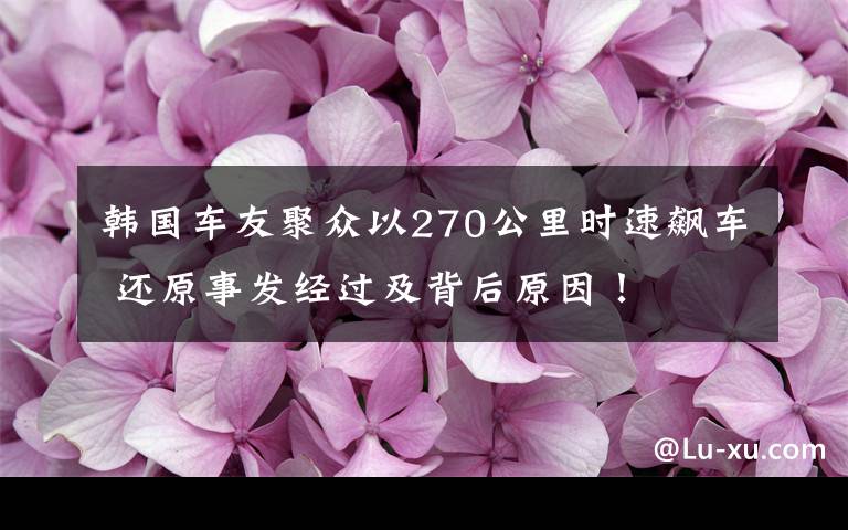 韩国车友聚众以270公里时速飙车 还原事发经过及背后原因！