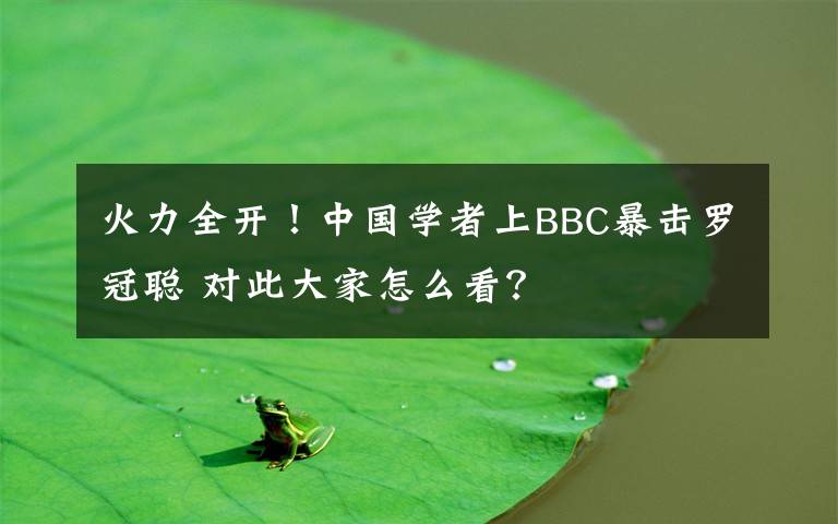 火力全开！中国学者上BBC暴击罗冠聪 对此大家怎么看？