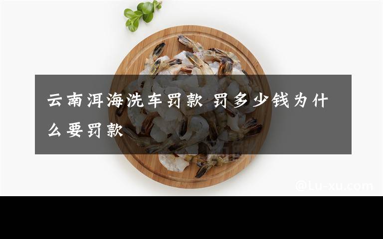 云南洱海洗车罚款 罚多少钱为什么要罚款