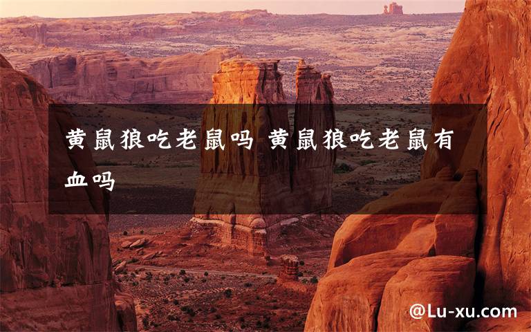 黄鼠狼吃老鼠吗 黄鼠狼吃老鼠有血吗文章配图