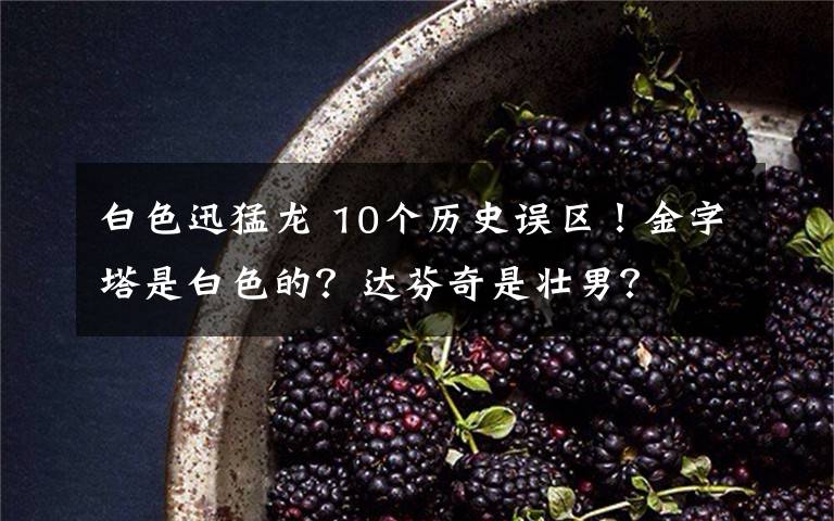 白色迅猛龙 10个历史误区！金字塔是白色的？达芬奇是壮男？