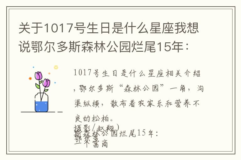 关于1017号生日是什么星座我想说鄂尔多斯森林公园烂尾15年：一个富商的土地生意