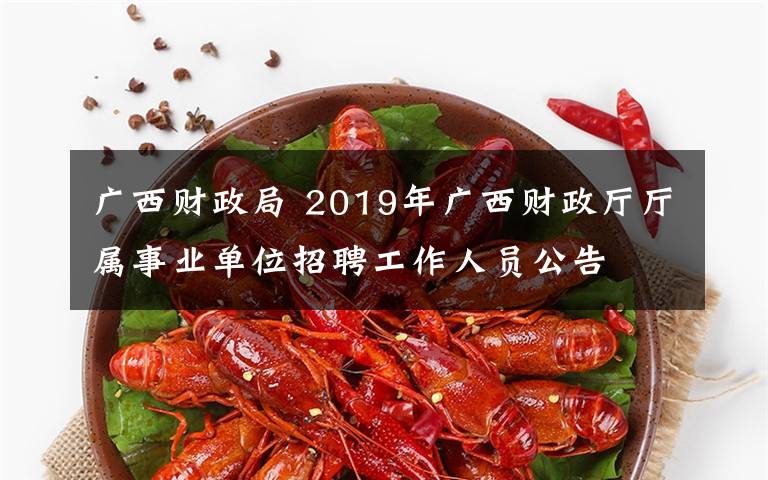 广西财政局 2019年广西财政厅厅属事业单位招聘工作人员公告