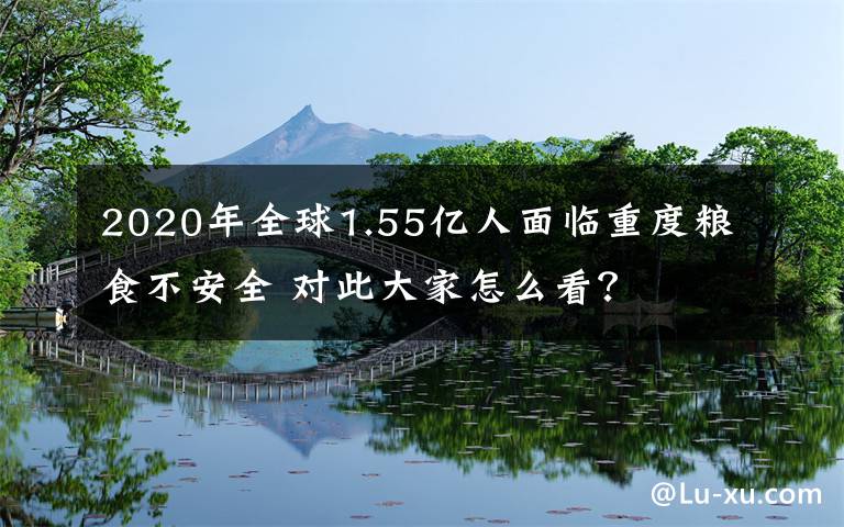 2020年全球1.55亿人面临重度粮食不安全 对此大家怎么看？