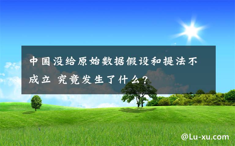 中国没给原始数据假设和提法不成立 究竟发生了什么?