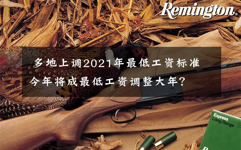  多地上调2021年最低工资标准 今年将成最低工资调整大年？