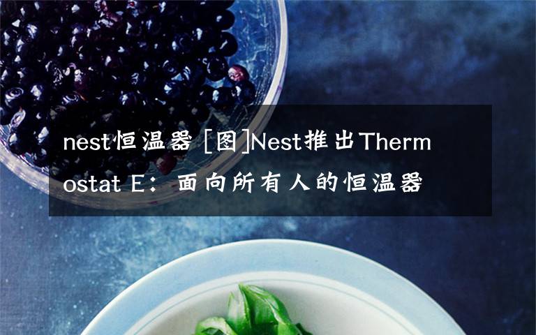 nest恒温器 [图]Nest推出Thermostat E：面向所有人的恒温器