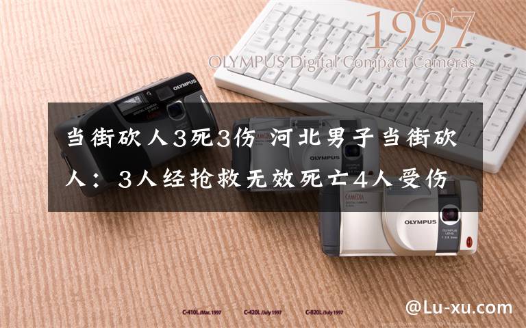 当街砍人3死3伤 河北男子当街砍人：3人经抢救无效死亡4人受伤 犯罪嫌疑人被当场抓获