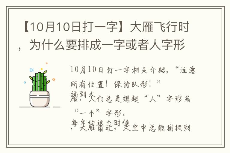 【10月10日打一字】大雁飞行时，为什么要排成一字或者人字形？可不是为了整齐好看…