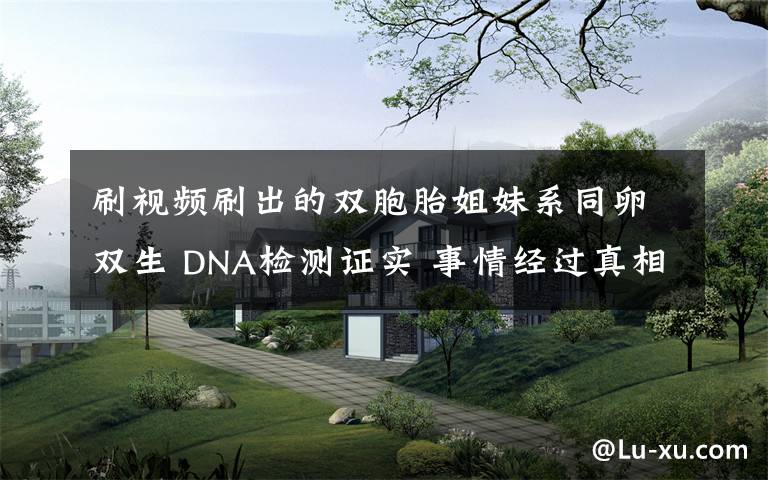 刷视频刷出的双胞胎姐妹系同卵双生 DNA检测证实 事情经过真相揭秘！