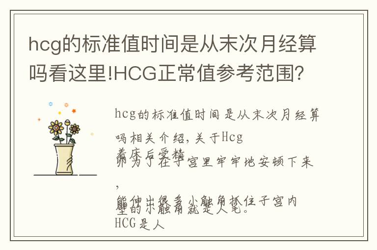 hcg的标准值时间是从末次月经算吗看这里!HCG正常值参考范围？血HCG与尿HCG有什么不同呢？